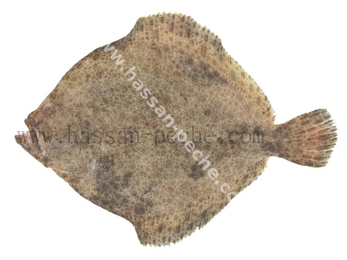 124 copie.jpg